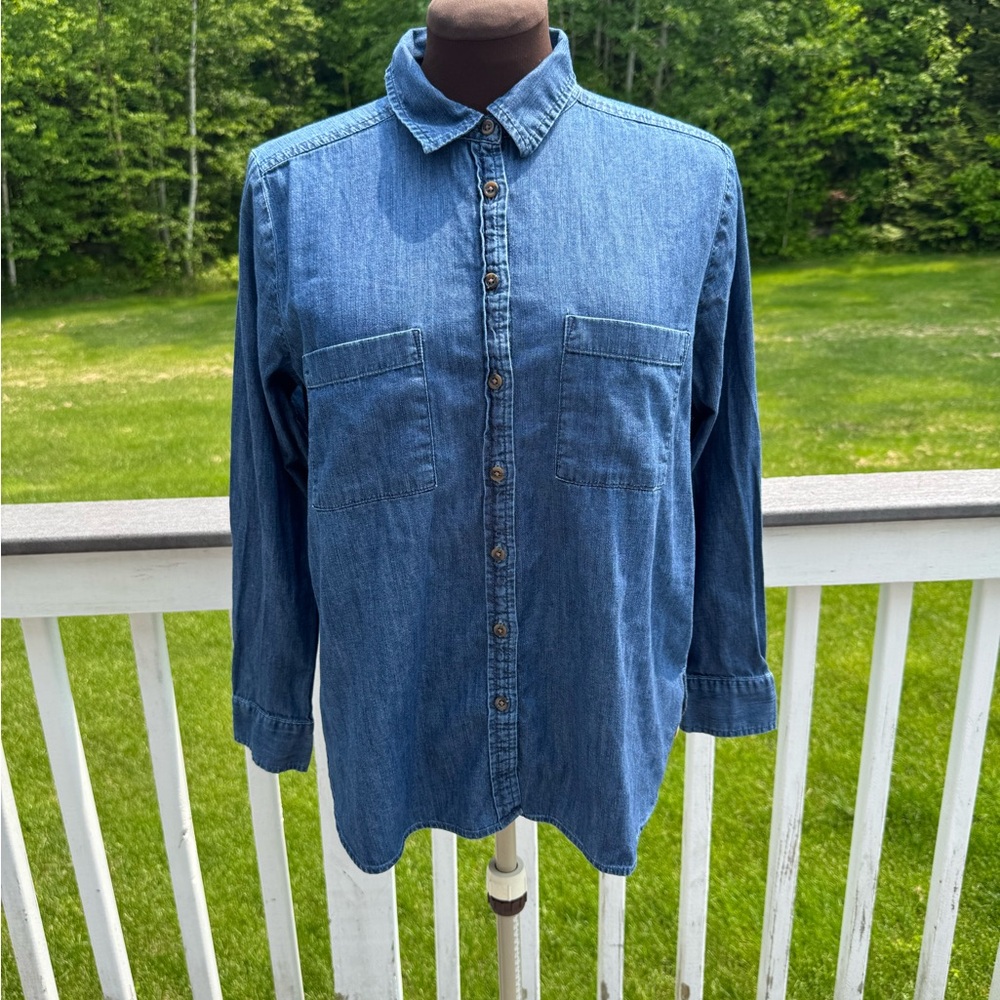 LOFT Blue Button Down Shirt